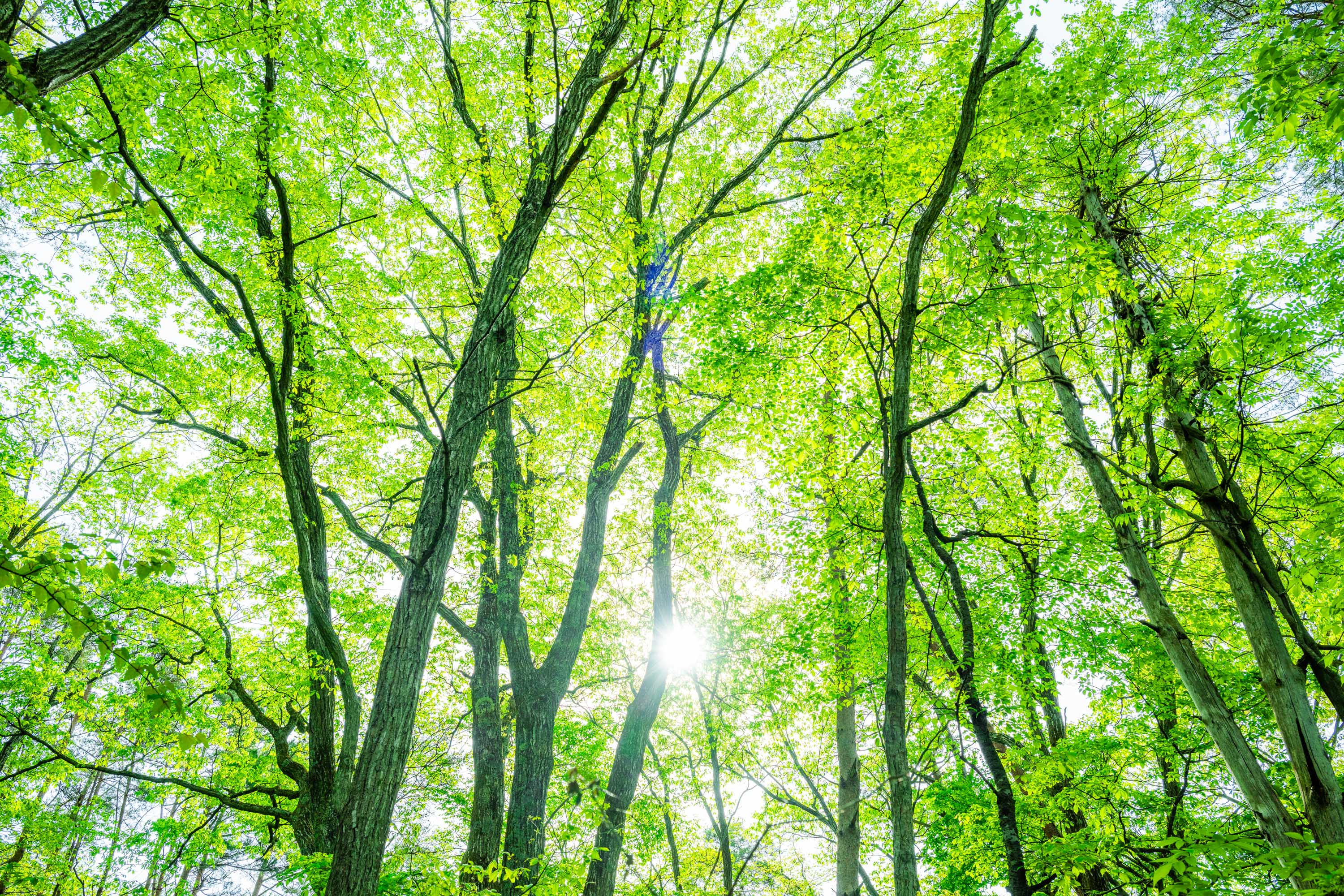 会津工場が提供する価値