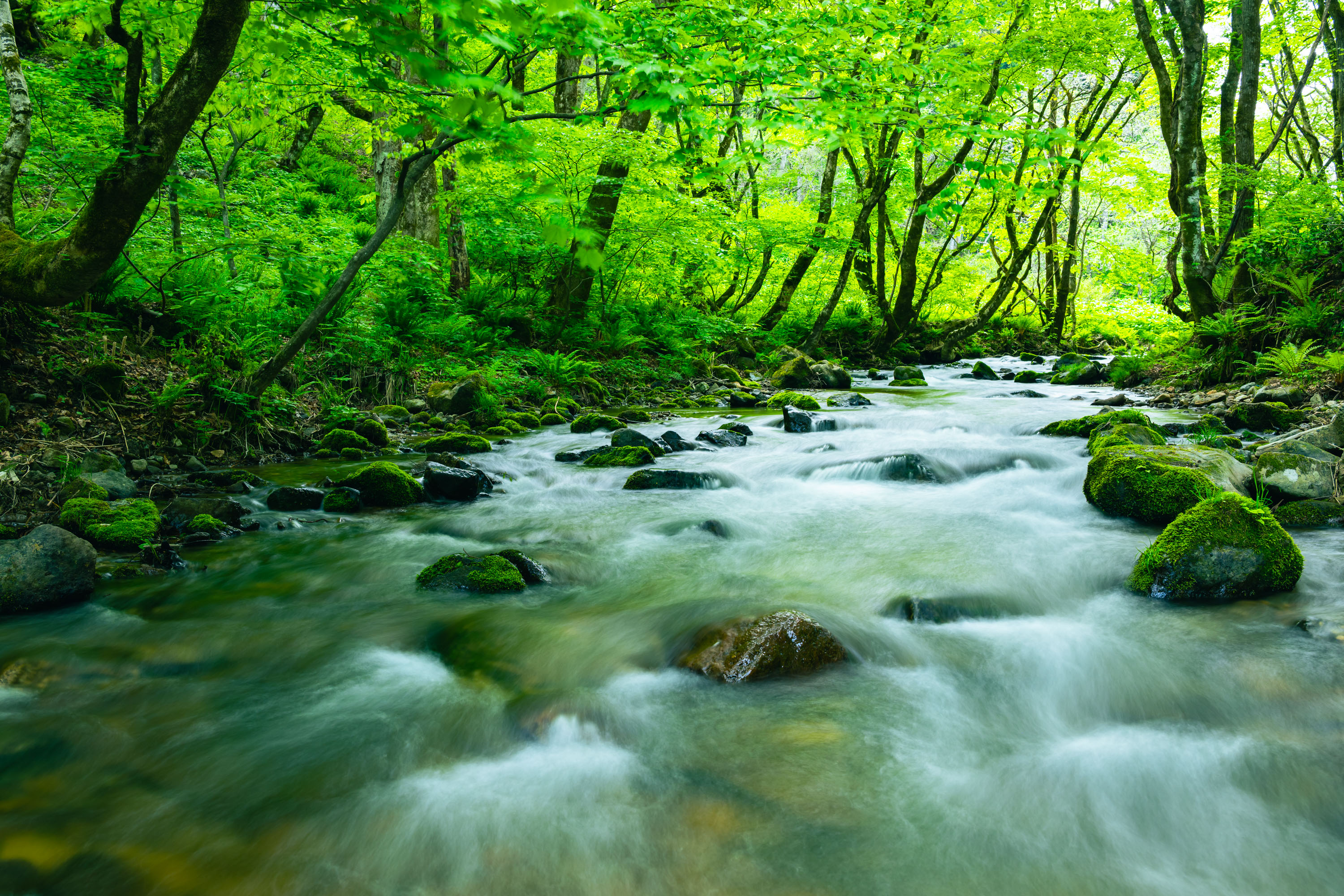 会津工場が提供する価値