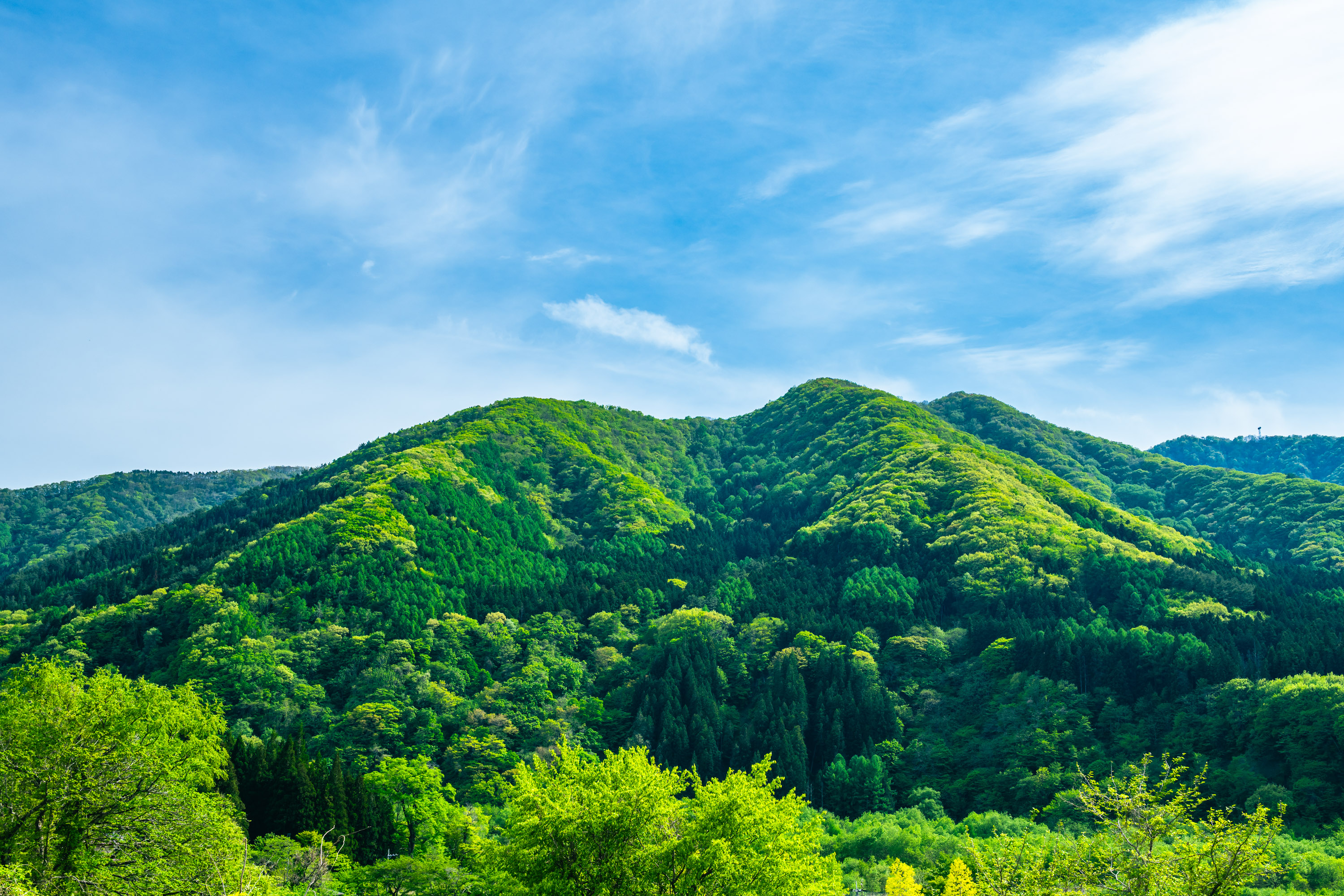 会津工場が提供する価値
