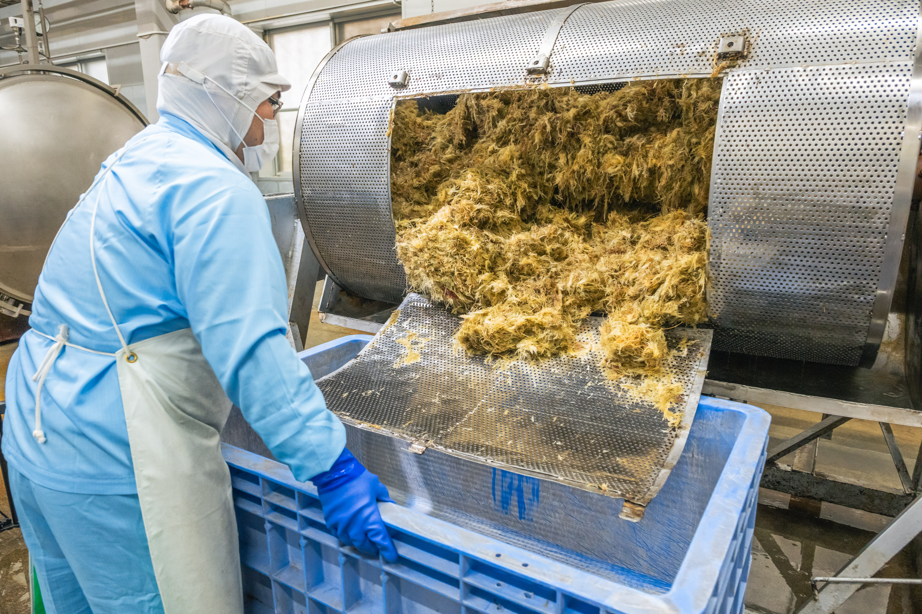 日本の伝統を、会津の名水で。最高品質のところてん