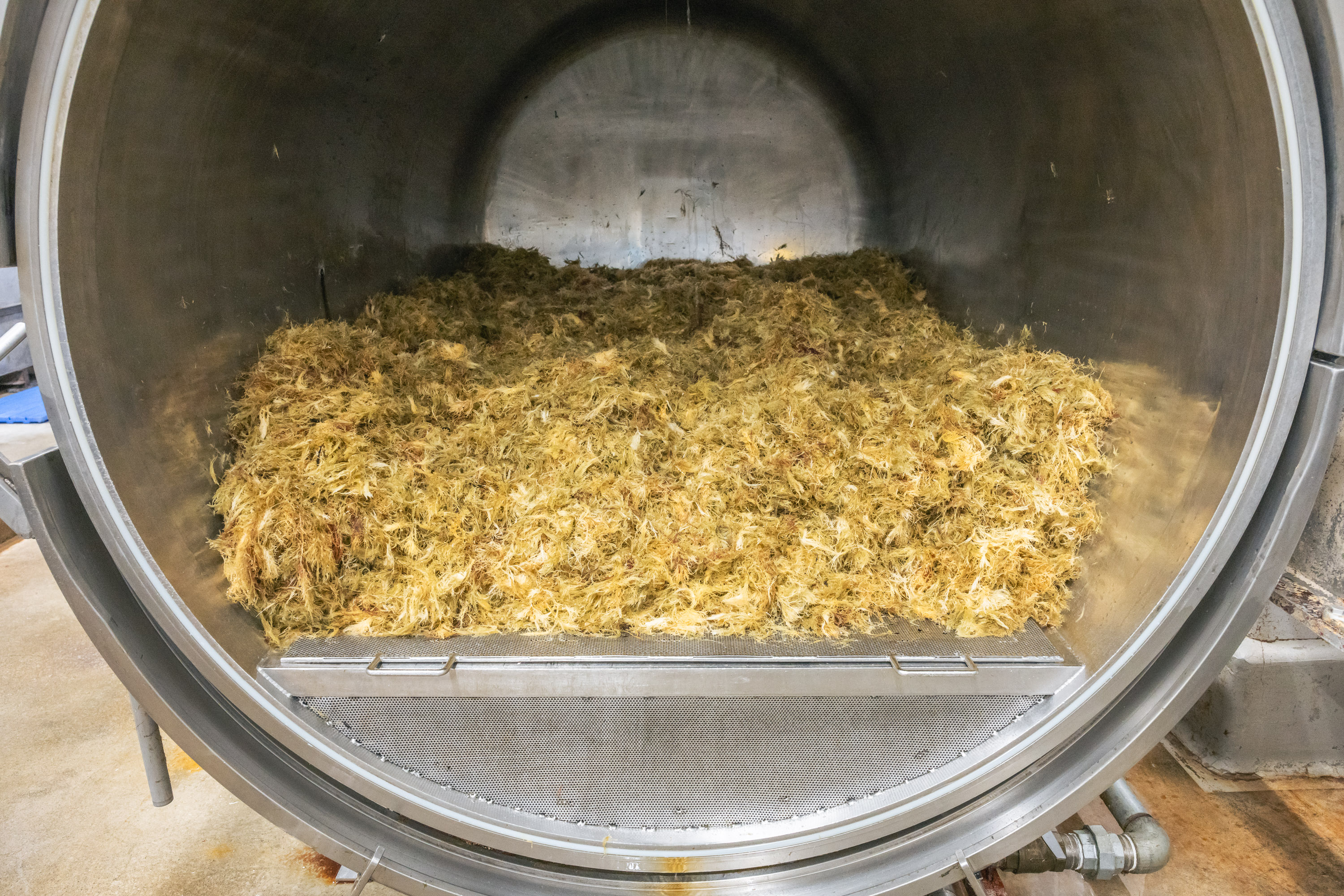 日本の伝統を、会津の名水で。最高品質のところてん